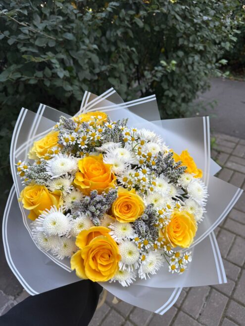 Солнечная леди